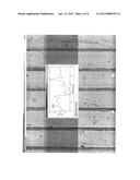 MICROSCOPE ILLUMINATION SYSTEM, MICROSCOPE AND OBLIQUE INCIDENT     ILLUMINATION METHOD diagram and image