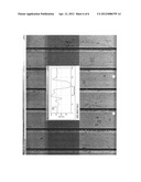 MICROSCOPE ILLUMINATION SYSTEM, MICROSCOPE AND OBLIQUE INCIDENT     ILLUMINATION METHOD diagram and image