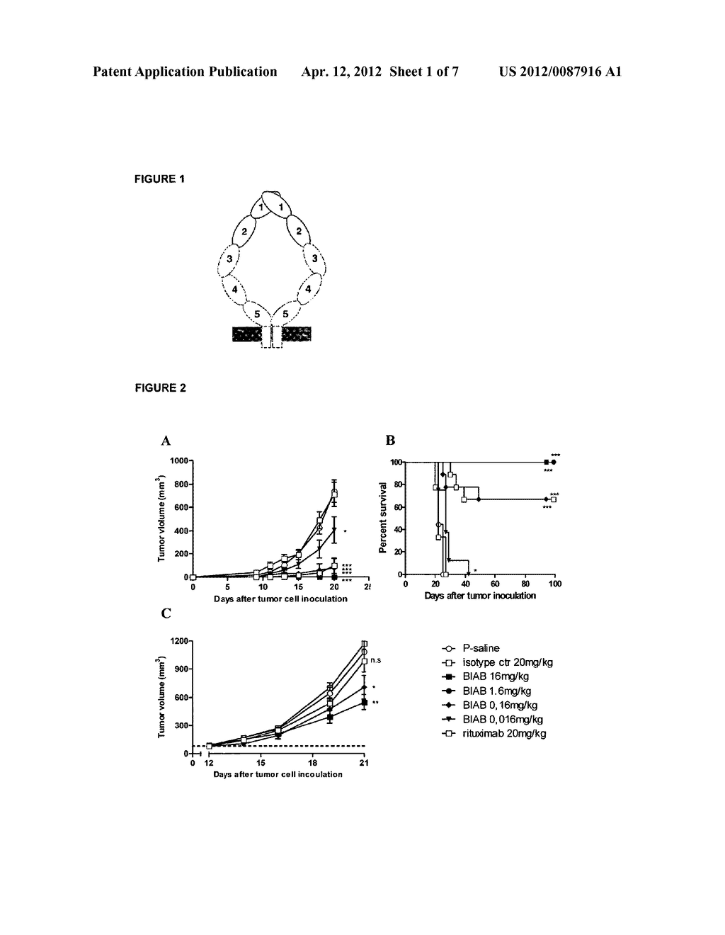 ANTI-ICAM-1 ANTIBODY, USES AND METHODS - diagram, schematic, and image 02