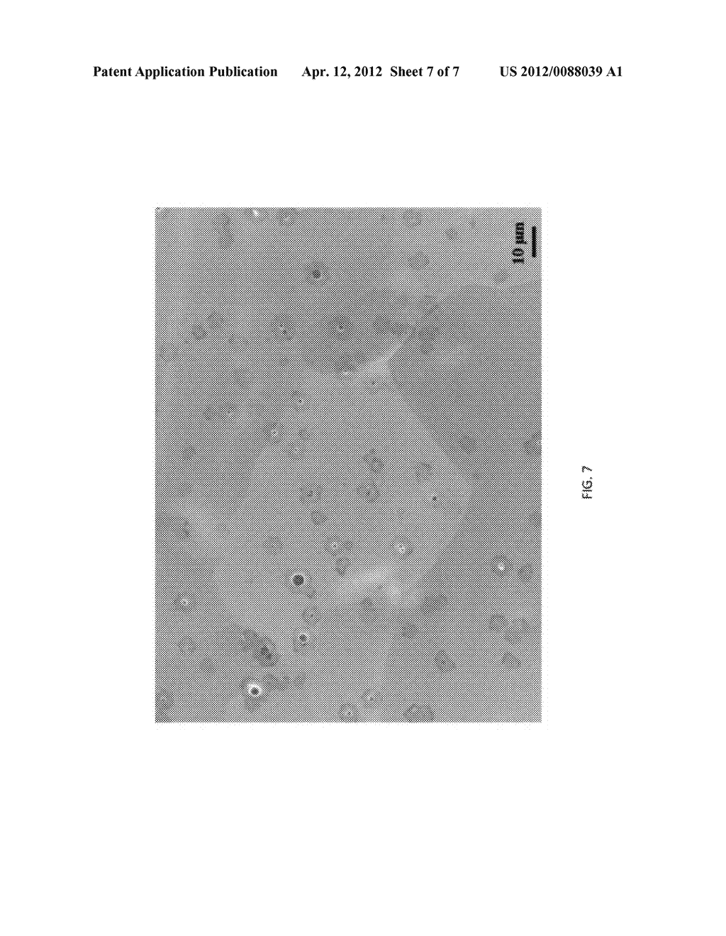 FABRICATION OF SINGLE-CRYSTALLINE GRAPHENE ARRAYS - diagram, schematic, and image 08