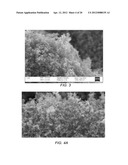 ALGINATE-CONTAINING COMPOSITIONS FOR USE IN BATTERY APPLICATIONS diagram and image