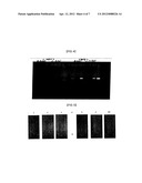 NUCLEIC ACID EXTRACTION METHOD diagram and image