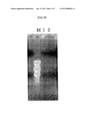 NUCLEIC ACID EXTRACTION METHOD diagram and image