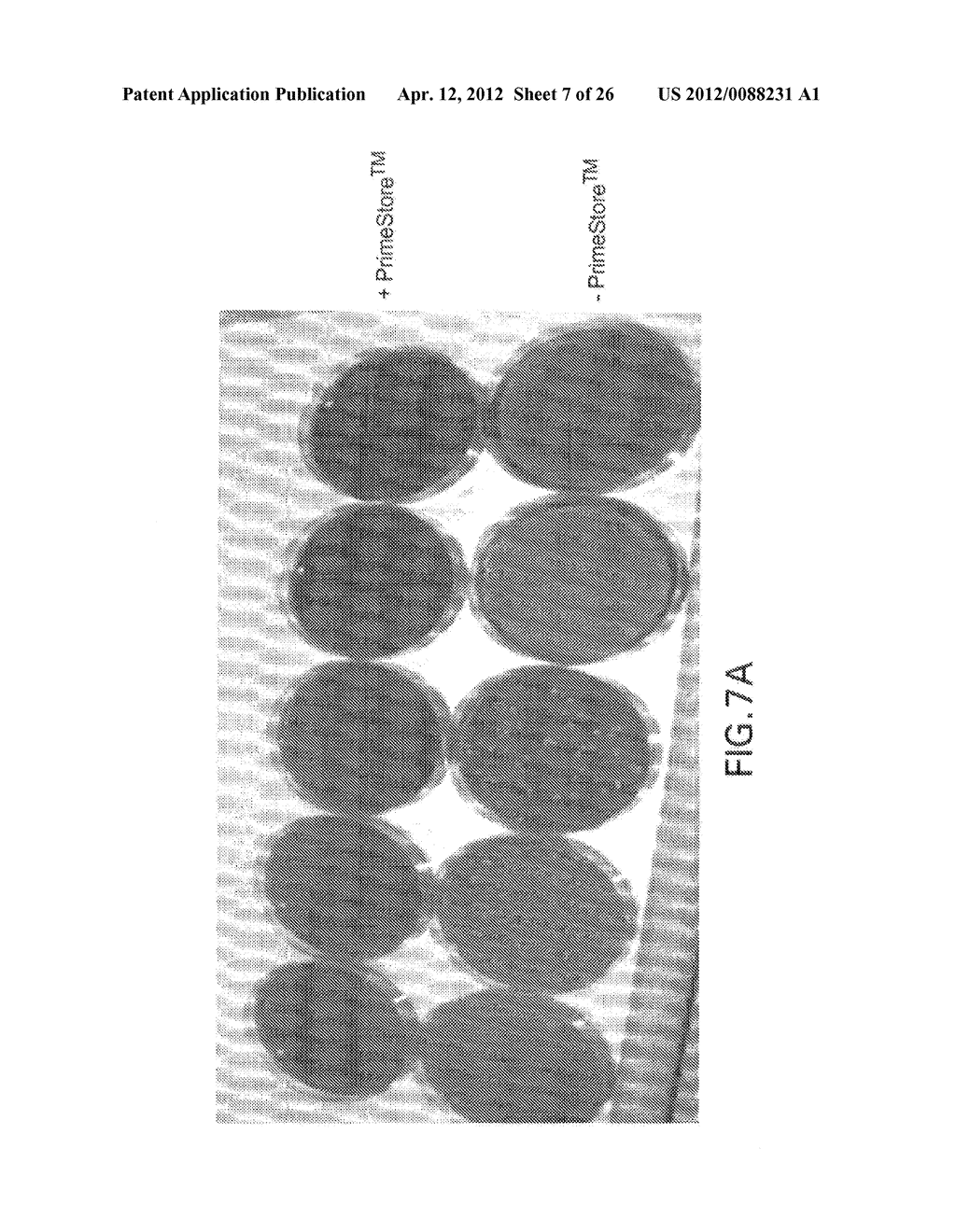 Biological Specimen Collection/Transport Compositions and Methods - diagram, schematic, and image 08