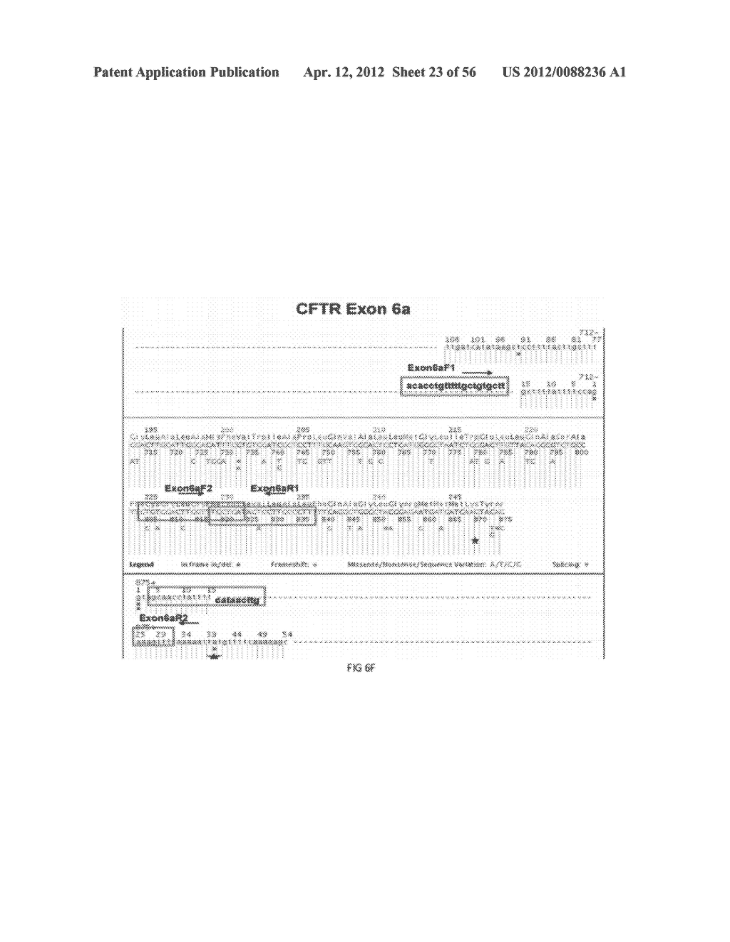 Methods and Systems for Sequential Determination of Genetic Mutations     and/or Varients - diagram, schematic, and image 24