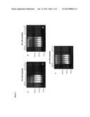 COMPOSITION AND METHODS FOR RAPID DETECTION OF HIV BY LOOP-MEDIATED     ISOTHERMAL AMPLIFICATION (LAMP) diagram and image