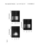 COMPOSITION AND METHODS FOR RAPID DETECTION OF HIV BY LOOP-MEDIATED     ISOTHERMAL AMPLIFICATION (LAMP) diagram and image