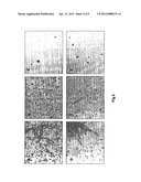 METHODS FOR PRODUCING ANTIFUNGAL BIFUNCTIONAL MOLECULES FOR TREATING     FUNGAL INFECTION diagram and image