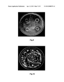 METHODS FOR PRODUCING ANTIFUNGAL BIFUNCTIONAL MOLECULES FOR TREATING     FUNGAL INFECTION diagram and image