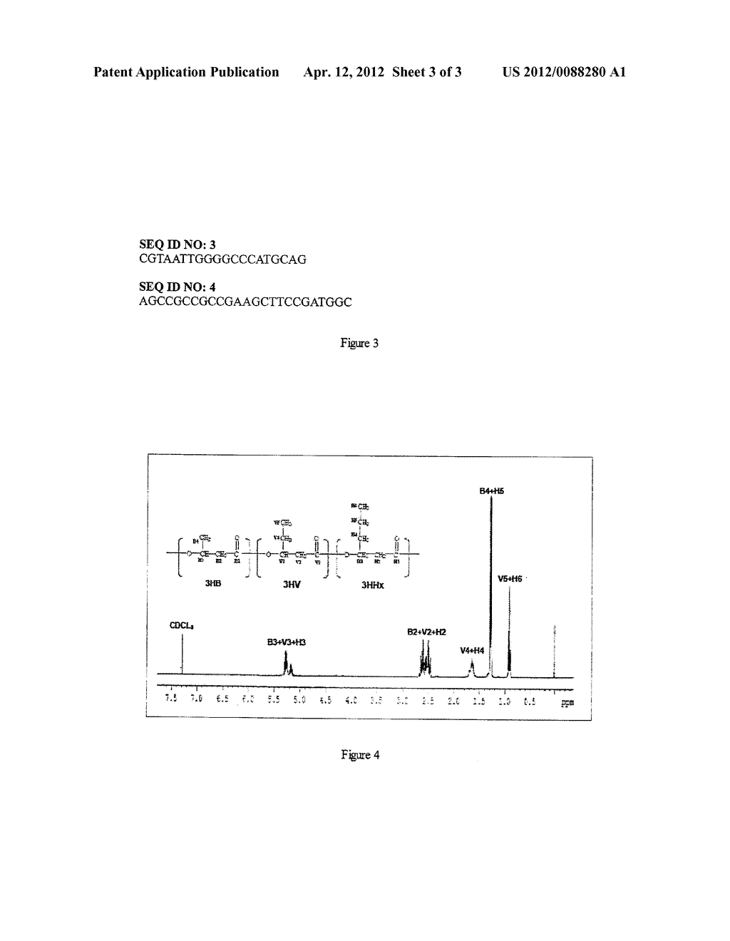 GENE ENCODING POLYMER SYNTHASE AND A PROCESS FOR PRODUCING POLYMER - diagram, schematic, and image 04