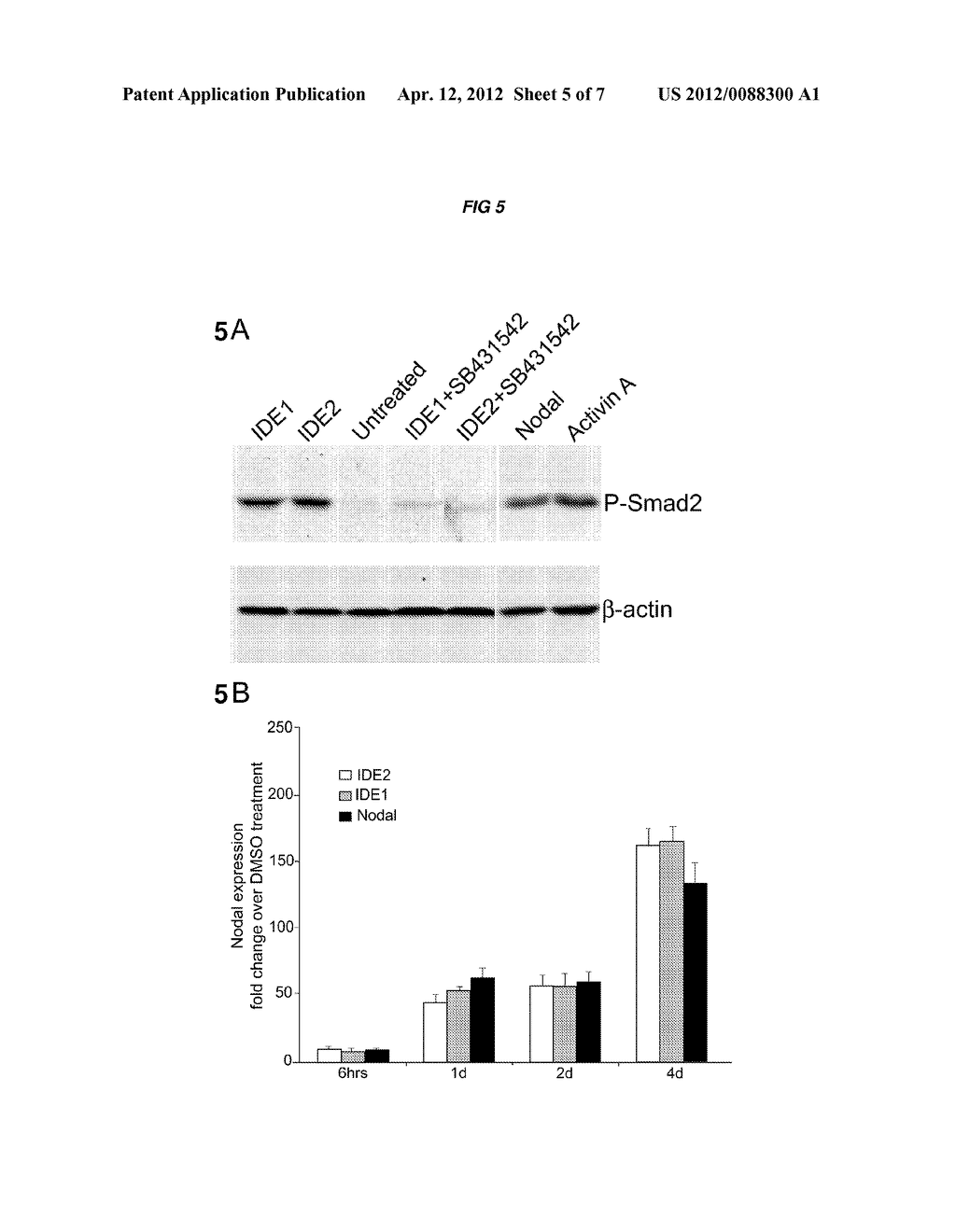 COMPOSITIONS AND METHODS FOR PROMOTING THE GENERATION OF DEFINITIVE     ENDODERM - diagram, schematic, and image 06