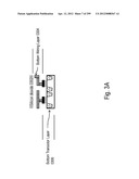 SEMICONDUCTOR DEVICE AND STRUCTURE diagram and image