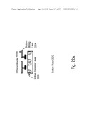 SEMICONDUCTOR DEVICE AND STRUCTURE diagram and image