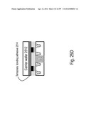 SEMICONDUCTOR DEVICE AND STRUCTURE diagram and image