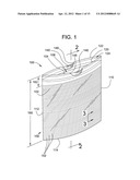 Bag and Method of Making The Same diagram and image