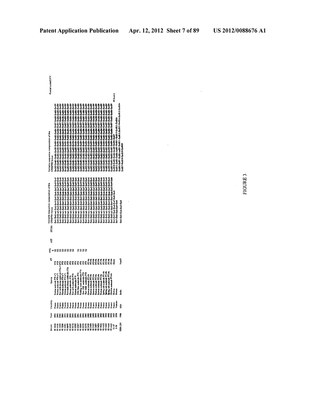 MOLECULAR TYPING AND SUBTYPING OF SALMONELLA BY IDENTIFICATION OF THE     VARIABLE NUCLEOTIDE SEQUENCES OF THE CRISPR LOCI - diagram, schematic, and image 08