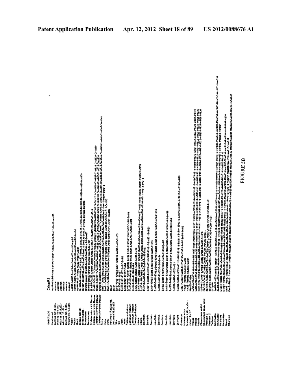 MOLECULAR TYPING AND SUBTYPING OF SALMONELLA BY IDENTIFICATION OF THE     VARIABLE NUCLEOTIDE SEQUENCES OF THE CRISPR LOCI - diagram, schematic, and image 19