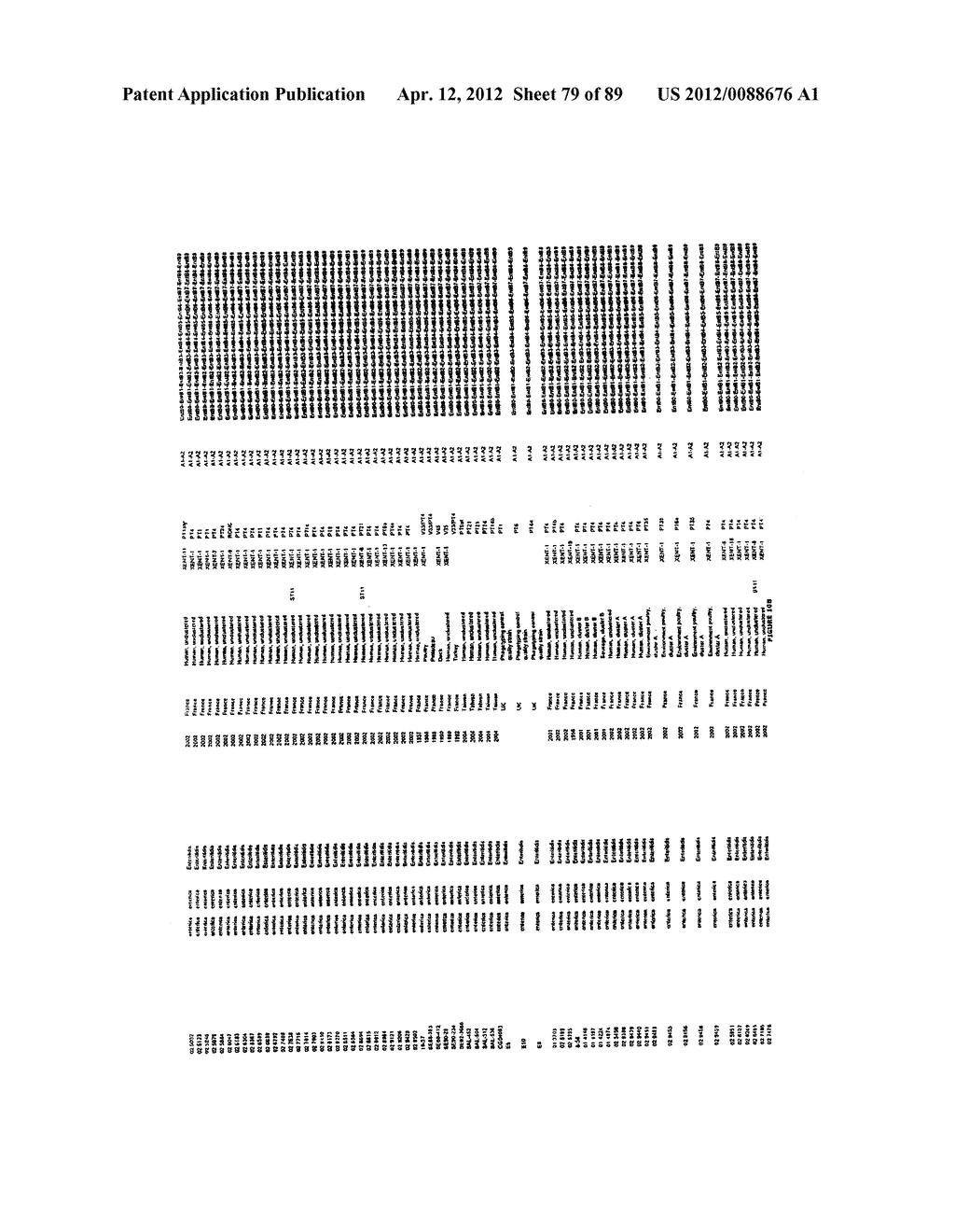 MOLECULAR TYPING AND SUBTYPING OF SALMONELLA BY IDENTIFICATION OF THE     VARIABLE NUCLEOTIDE SEQUENCES OF THE CRISPR LOCI - diagram, schematic, and image 80