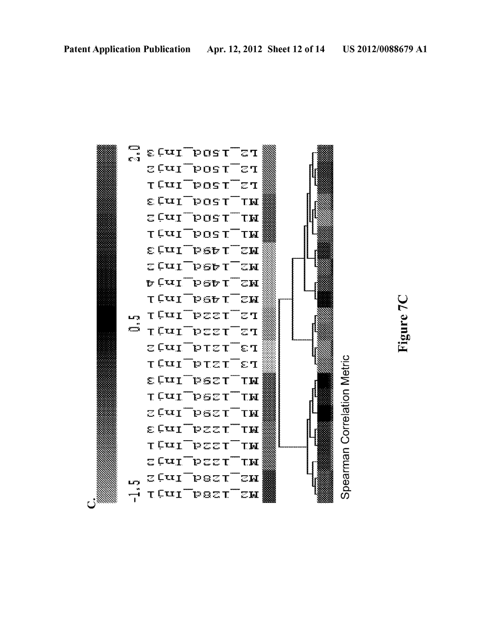 Method for Monitoring Cell Culture - diagram, schematic, and image 13