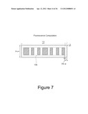 HIGHLY MULTIPLEXED REAL-TIME PCR USING ENCODED MICROBEADS diagram and image