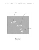 HIGHLY MULTIPLEXED REAL-TIME PCR USING ENCODED MICROBEADS diagram and image