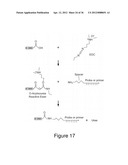 HIGHLY MULTIPLEXED REAL-TIME PCR USING ENCODED MICROBEADS diagram and image