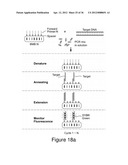 HIGHLY MULTIPLEXED REAL-TIME PCR USING ENCODED MICROBEADS diagram and image