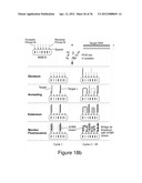 HIGHLY MULTIPLEXED REAL-TIME PCR USING ENCODED MICROBEADS diagram and image