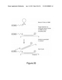 HIGHLY MULTIPLEXED REAL-TIME PCR USING ENCODED MICROBEADS diagram and image