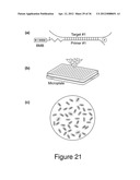 HIGHLY MULTIPLEXED REAL-TIME PCR USING ENCODED MICROBEADS diagram and image