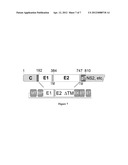 HCV-DERIVED POLYPEPTIDES AND USES THEREOF diagram and image