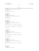 HCV-DERIVED POLYPEPTIDES AND USES THEREOF diagram and image