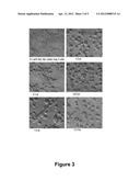 Mosquitocidal Xenorhabdus, Lipopeptide And Methods diagram and image