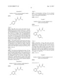 NOVEL ACYL GUANIDINE DERIVATIVES diagram and image