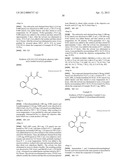 NOVEL ACYL GUANIDINE DERIVATIVES diagram and image