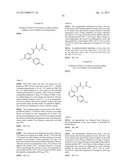 NOVEL ACYL GUANIDINE DERIVATIVES diagram and image