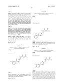 NOVEL ACYL GUANIDINE DERIVATIVES diagram and image