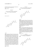 NOVEL ACYL GUANIDINE DERIVATIVES diagram and image