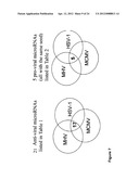 ANTI VIRAL THERAPY diagram and image