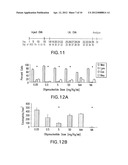 METHODS OF MODULATING AN IMMUNE RESPONSE TO A VIRAL INFECTION diagram and image
