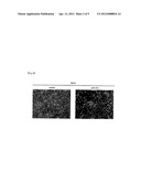 Head-And-Neck Tumor Proliferation Inhibitor diagram and image