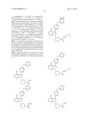 INHIBITORS OF BRUTON S TYROSINE KINASE diagram and image