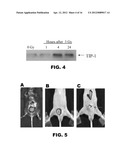 LIGANDS TO RADIATION-INDUCED MOLECULES diagram and image