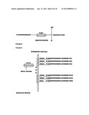 INCENTIVE SPIROMETRY DEVICE HAVING AN EXTERNALLY DISPOSED CAPACITIVE     SENSOR ASSEMBLY FOR PROMPTING PATIENT USE AND DETERMINING MEASUREMENTS     OBTAINED FROM SUCH PATIENT USAGE diagram and image