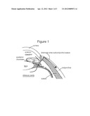 SUBCONJUNCTIVAL CONFORMER DEVICE AND USES THEREOF diagram and image