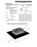 APPARATUS THAT INCLUDES NANO-SIZED PROJECTIONS AND A METHOD FOR     MANUFACTURE THEREOF diagram and image