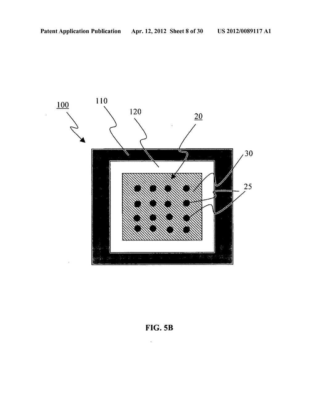 APPARATUS THAT INCLUDES NANO-SIZED PROJECTIONS AND A METHOD FOR     MANUFACTURE THEREOF - diagram, schematic, and image 09