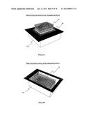 APPARATUS THAT INCLUDES NANO-SIZED PROJECTIONS AND A METHOD FOR     MANUFACTURE THEREOF diagram and image