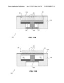 APPARATUS THAT INCLUDES NANO-SIZED PROJECTIONS AND A METHOD FOR     MANUFACTURE THEREOF diagram and image