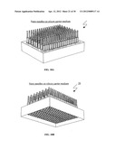 APPARATUS THAT INCLUDES NANO-SIZED PROJECTIONS AND A METHOD FOR     MANUFACTURE THEREOF diagram and image